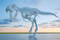 dinosaur 3D model
