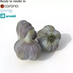 Garlic 3D model