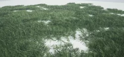 Grass Forest  Low-poly  3D model