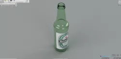 Heineken Bottle Model
