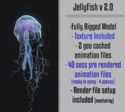 JELLYFISH 3D model