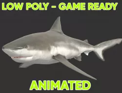 Low poly Bull Shark Fish Animated - Game Ready Low-poly  3D model