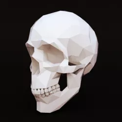 Low Poly Skull Human Low-poly  3D model