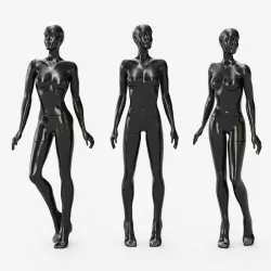 Manikin female glossy 3D model