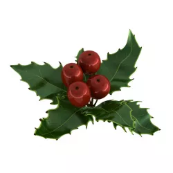 Mistletoe Sprig Holly 3D model