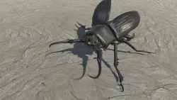 Monster beetle 3D model