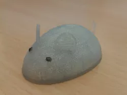 Mouse