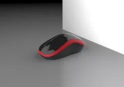 Mouse