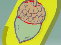Nuts