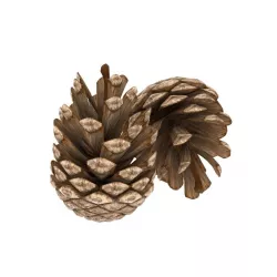 Pine cone 3D model