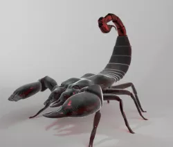 Scorpion 3D model