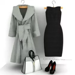 Set of womens clothing shoes coat handbag dress 3D model