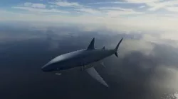 Shark 3D model