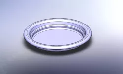 simple plate (2)