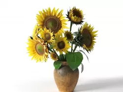 Sunflower in Vase 3D model