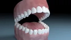 Teeth Tongue Mouth Interior 3D model