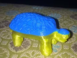 Turtle