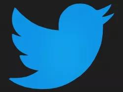 Twitter Bird Logo Low-poly  3D model