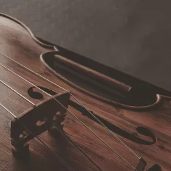 Violin