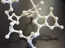 X-ray Structure of the Major Adduct of the Anticancer Drug Cisplatin with DNA: cis-[Pt(NH3)2{d(pGpG)}]