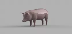 1/35 pig