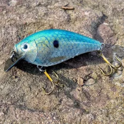 2.5" Squarebill Crankbait
