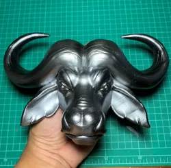 African buffalo Head