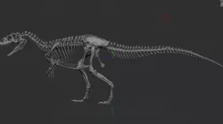 Allosaurus walking to 1:20 scale parte 2 de 4