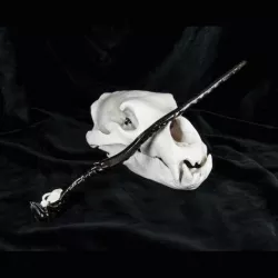 Amycus Carrow Wand