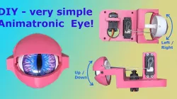 Animatronic Eye simple design