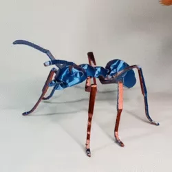 ANT