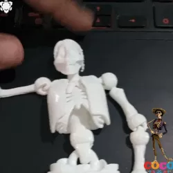 ARTICULATED PRINT-IN-PLACE SKELETON COCO