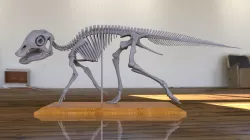 Baby maiasaura to 1:1 scale parte 1 de 3