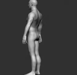 BASE MESH MALE BODY 2 - male model 2