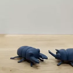 Beetle battle