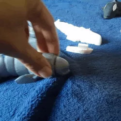 Beluga whale (FLEXI, PRINT-IN-PLACE)