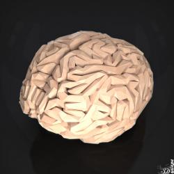 brain low poly 3D Models | Page 1 | STLFinder