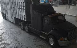 Cattle livestock trailer 1:14 for Tamiya Trucks