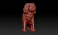 Cavalier King Charles