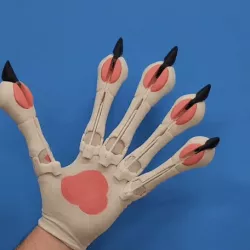 Cosplay Paws