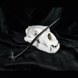 Death Eater Testral Wand