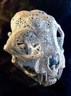 Filigree Anatomical Bobcat Skull