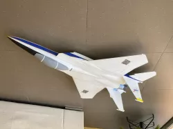 Flyable RC F-15D Eagle 800mm V1