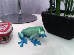 Frog