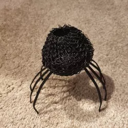 Hairy Jumping Spider
