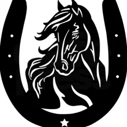 Horseshoe