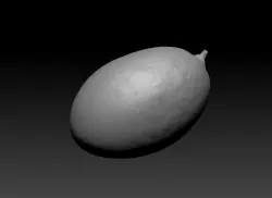 large mango
