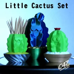 Little Cactus Set
