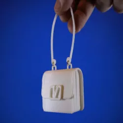 Lizzo's Tiny Purse