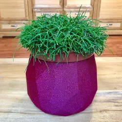 Low Poly Planter
